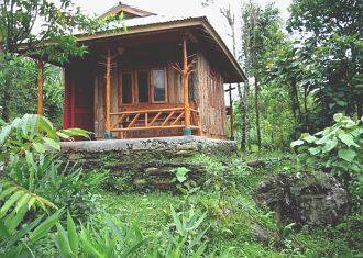 The Wild Flower Retreat, Ravangla 2